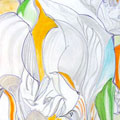 Cours dessin classique adulte par Nicolas Terrasson