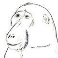 Cours dessin classique adulte par Nicolas Terrasson