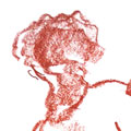 Cours dessin classique adulte par Nicolas Terrasson